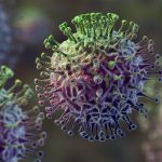 Chapare, nuevo virus mortal parecido al ébola dispara las alarmas en Bolivia