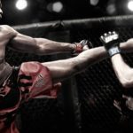 El origen de las Artes Marciales Mixtas